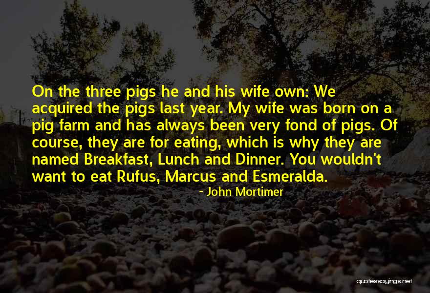 Pernambucano Quotes By John Mortimer Pernambucano Quotes By John Mortimer