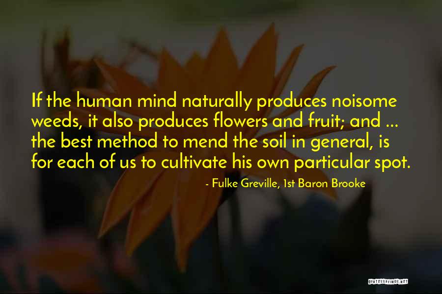Pernicar Star Quotes By Fulke Greville, 1st Baron Brooke Pernicar Star Quotes By Fulke Greville, 1st Baron Brooke