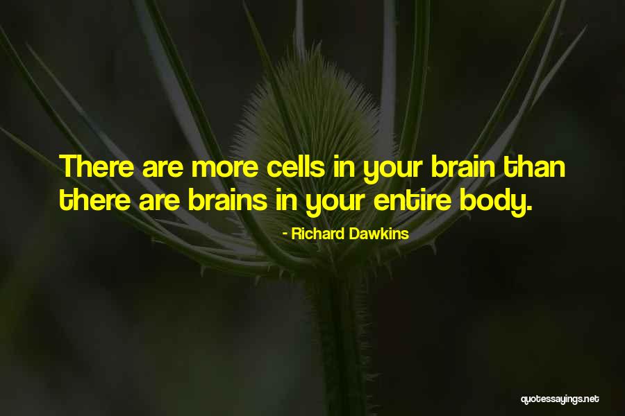 Pernille Orum Quotes By Richard Dawkins Pernille Orum Quotes By Richard Dawkins