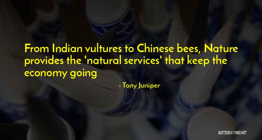 Pernini Cpa Quotes By Tony Juniper Pernini Cpa Quotes By Tony Juniper