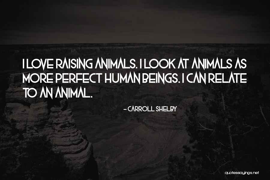 Pernula Quotes By Carroll Shelby Pernula Quotes By Carroll Shelby