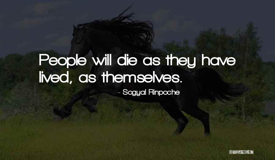 Perot Theatre Quotes By Sogyal Rinpoche Perot Theatre Quotes By Sogyal Rinpoche