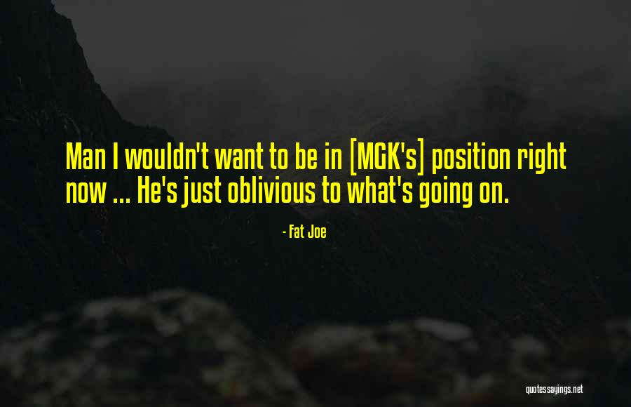 Perottis Basking Quotes By Fat Joe Perottis Basking Quotes By Fat Joe