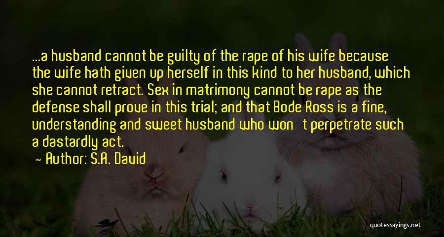 Perpetrate Quotes By S.A. David