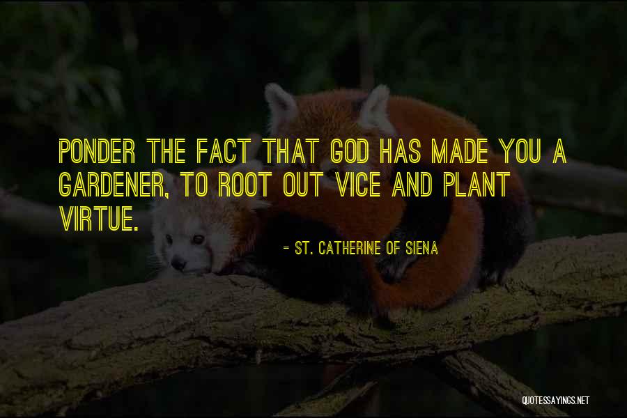 Perpetrating Means Quotes By St. Catherine Of Siena Perpetrating Means Quotes By St. Catherine Of Siena
