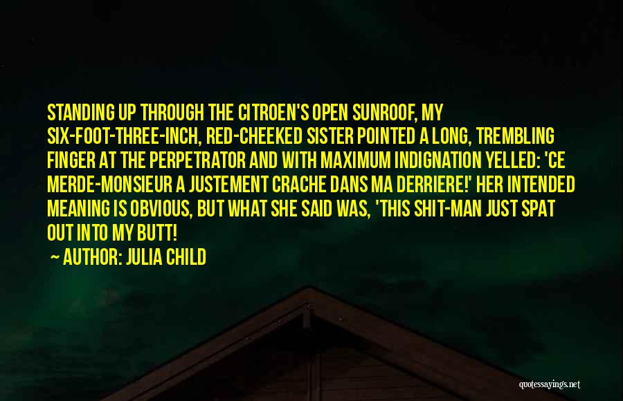 Perpetrator Quotes By Julia Child