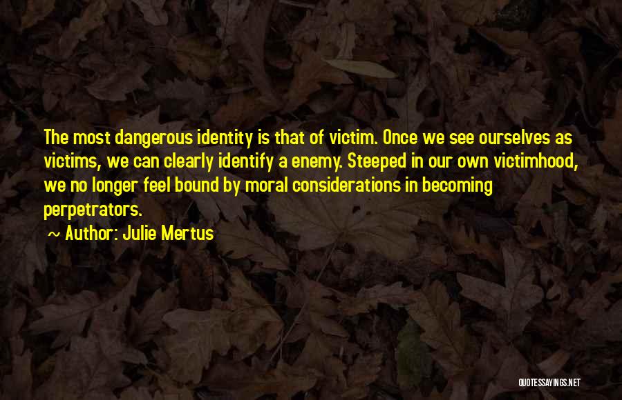 Perpetrators Quotes By Julie Mertus