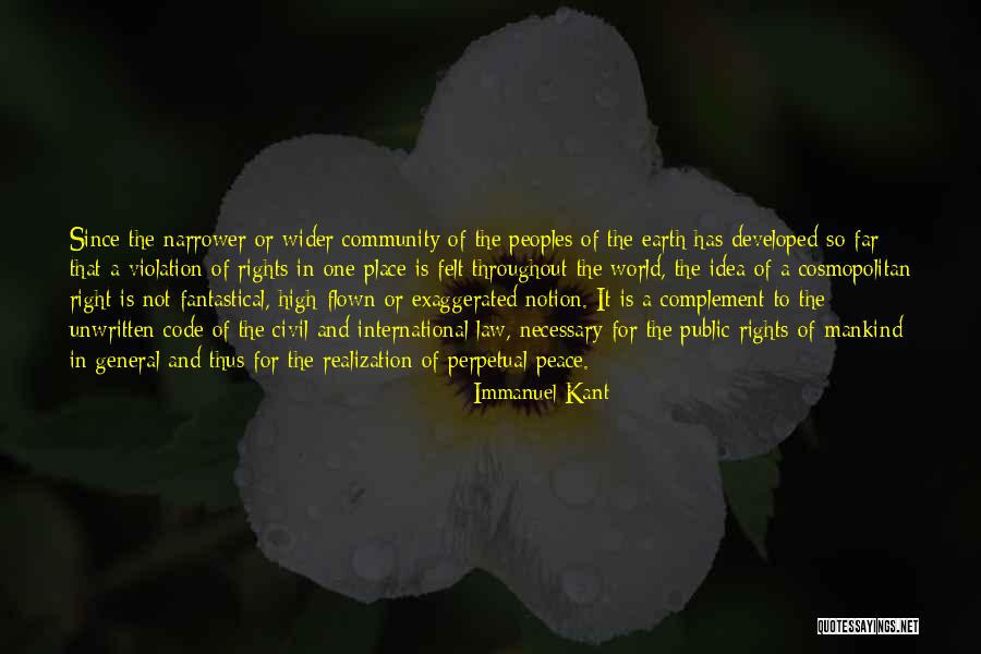 Perpetual Peace Quotes By Immanuel Kant