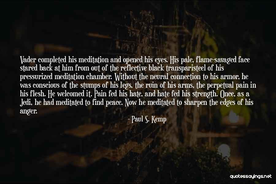 Perpetual Peace Quotes By Paul S. Kemp