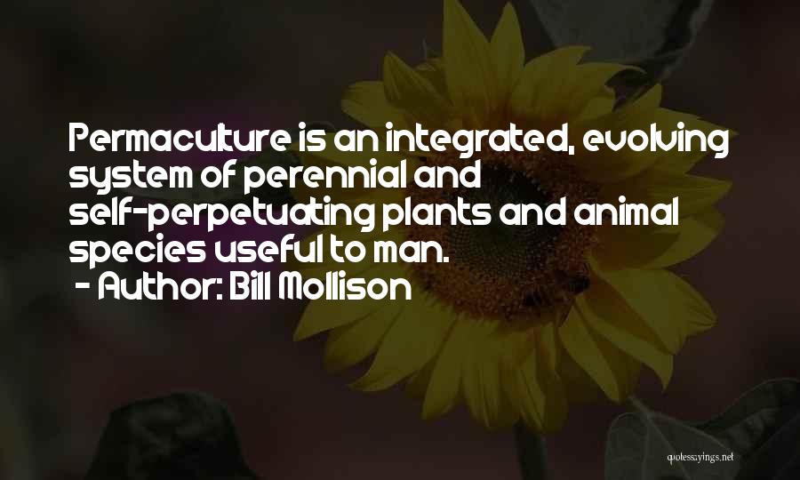 Perpetuating Quotes By Bill Mollison
