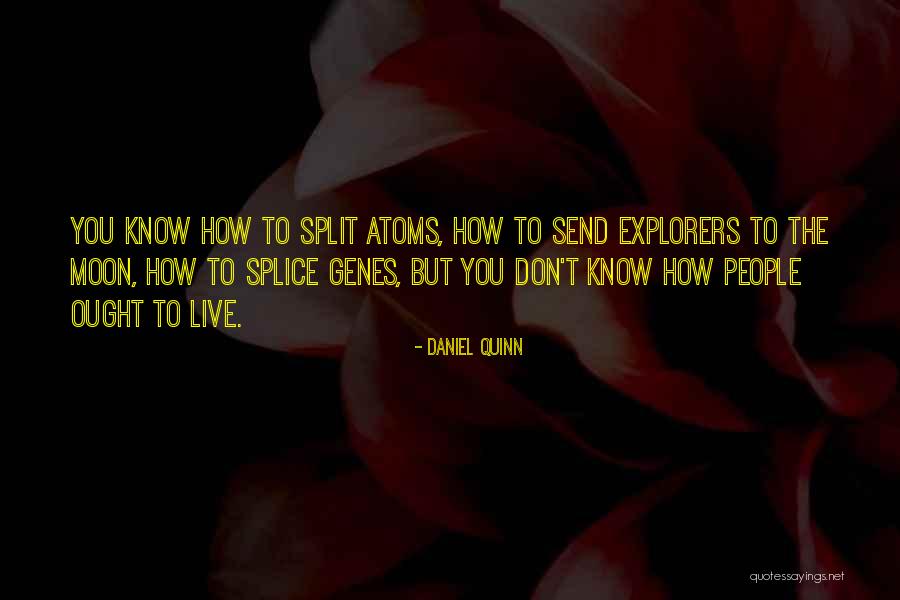 Perpetuity In A Sentence Quotes By Daniel Quinn Perpetuity In A Sentence Quotes By Daniel Quinn