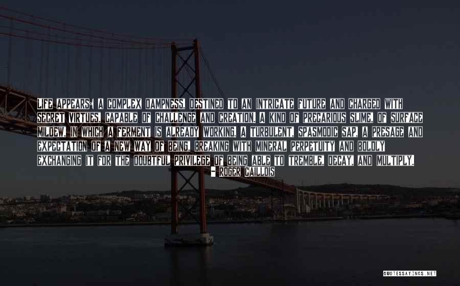 Perpetuity Quotes By Roger Caillois Perpetuity Quotes By Roger Caillois