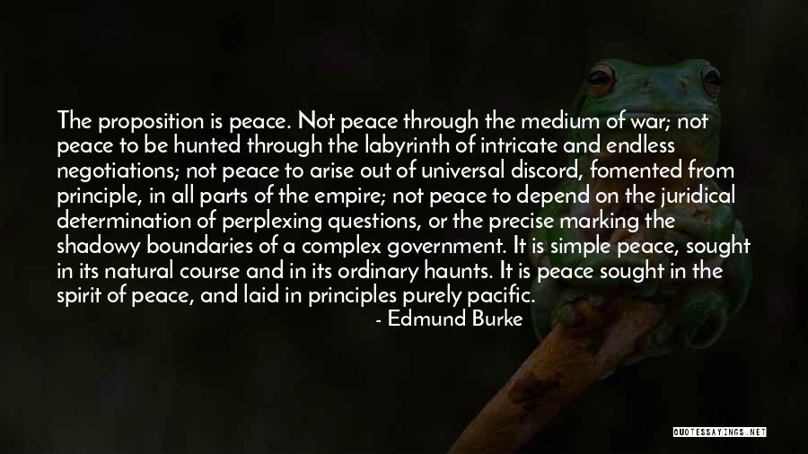 Perplexing Questions Quotes By Edmund Burke Perplexing Questions Quotes By Edmund Burke
