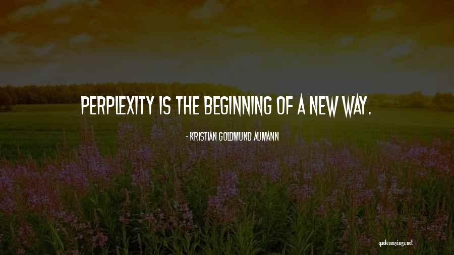 Perplexity Is The Beginning Quotes By Kristian Goldmund Aumann Perplexity Is The Beginning Quotes By Kristian Goldmund Aumann