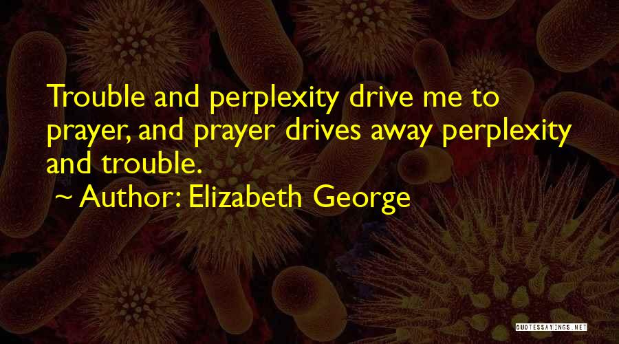 Perplexity Quotes By Elizabeth George