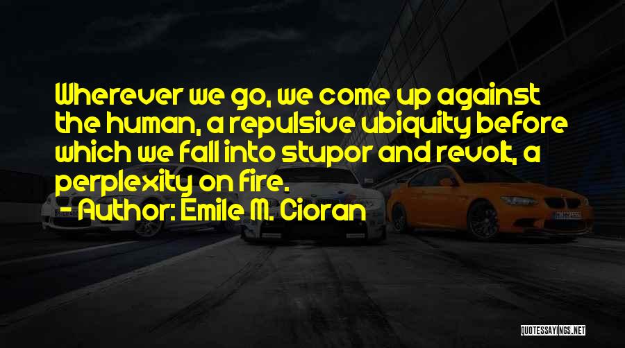 Perplexity Quotes By Emile M. Cioran