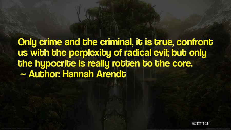 Perplexity Quotes By Hannah Arendt