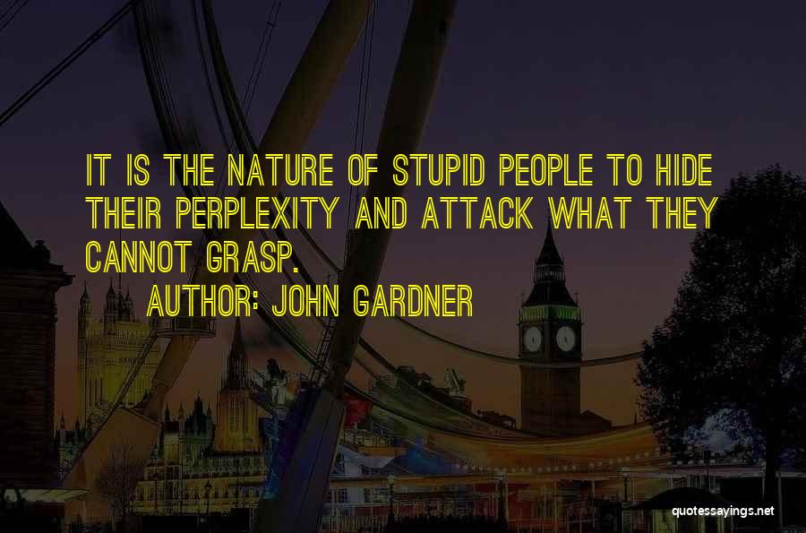 Perplexity Quotes By John Gardner