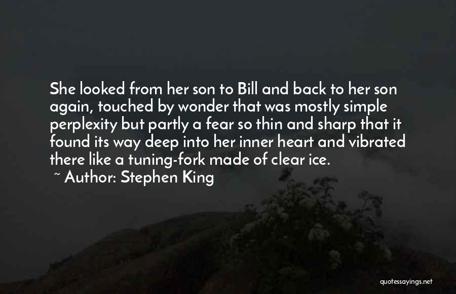 Perplexity Quotes By Stephen King