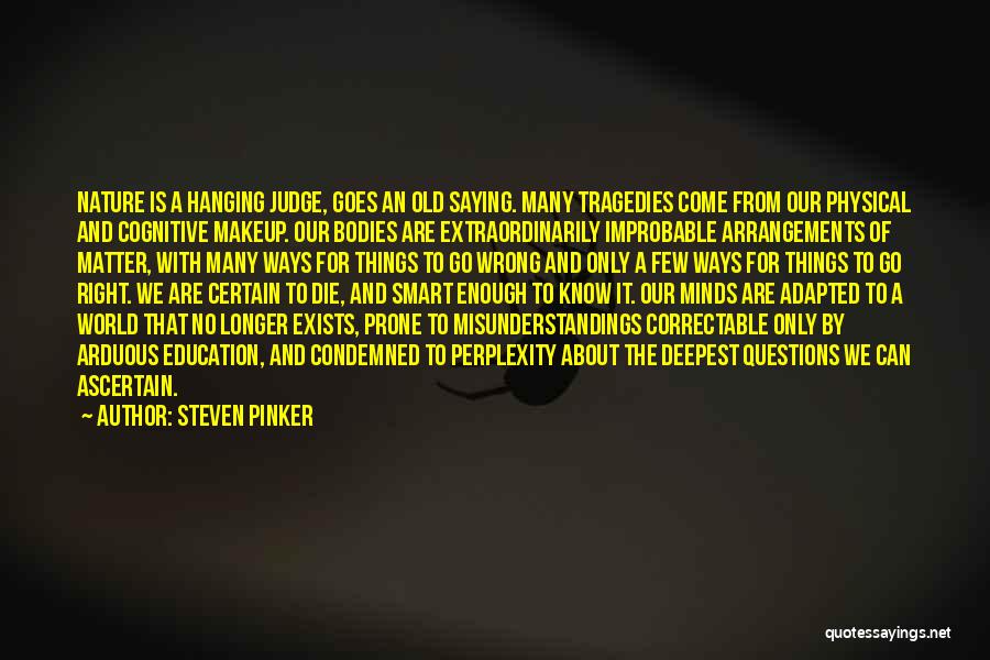 Perplexity Quotes By Steven Pinker