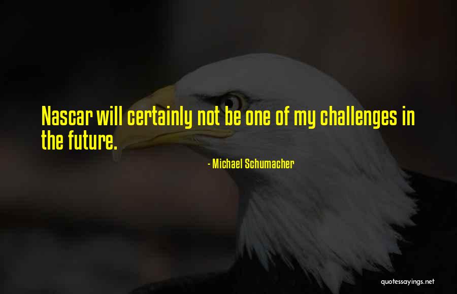 Perquin Falcons Quotes By Michael Schumacher Perquin Falcons Quotes By Michael Schumacher