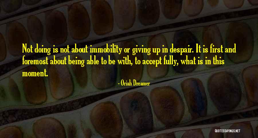 Perras Y Quotes By Oriah Dreamer Perras Y Quotes By Oriah Dreamer