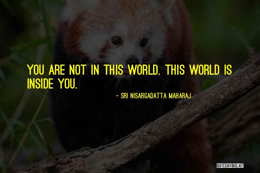 Perrins Naturals Quotes By Sri Nisargadatta Maharaj Perrins Naturals Quotes By Sri Nisargadatta Maharaj