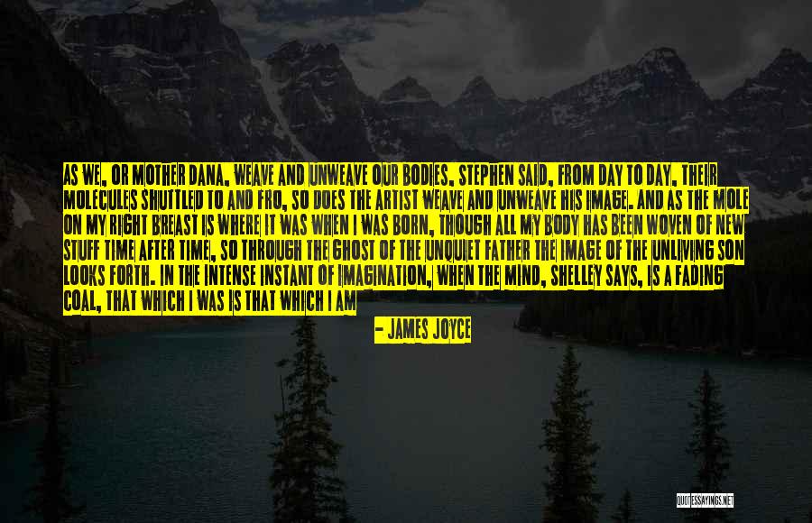 Perrona In English Quotes By James Joyce Perrona In English Quotes By James Joyce