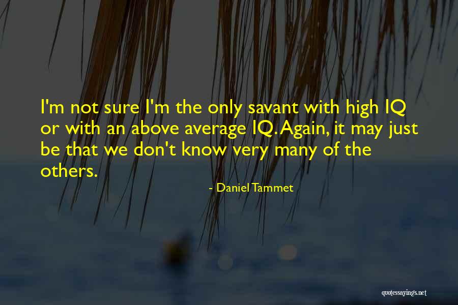 Perroni Engineering Quotes By Daniel Tammet Perroni Engineering Quotes By Daniel Tammet