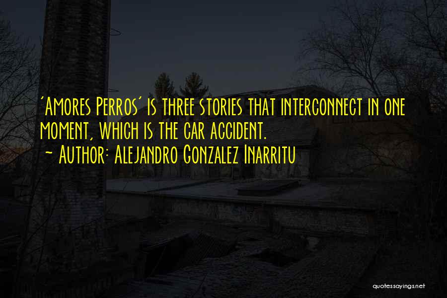 Perros Quotes By Alejandro Gonzalez Inarritu