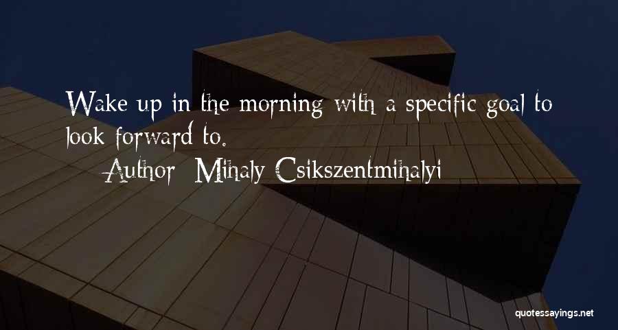 Perrow Presbyterian Quotes By Mihaly Csikszentmihalyi