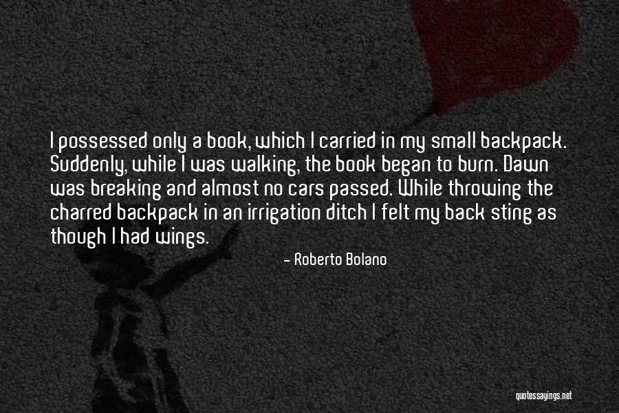 Perruche Salon Quotes By Roberto Bolano Perruche Salon Quotes By Roberto Bolano