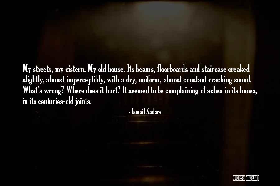 Perschbacher Cardiologist Quotes By Ismail Kadare Perschbacher Cardiologist Quotes By Ismail Kadare