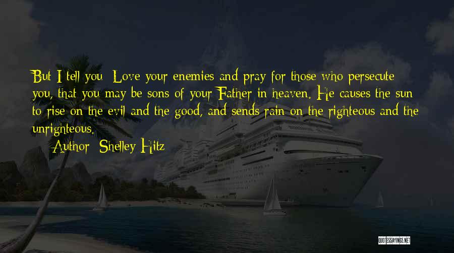 Persecute Quotes By Shelley Hitz