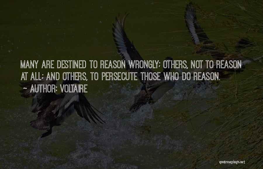 Persecute Quotes By Voltaire