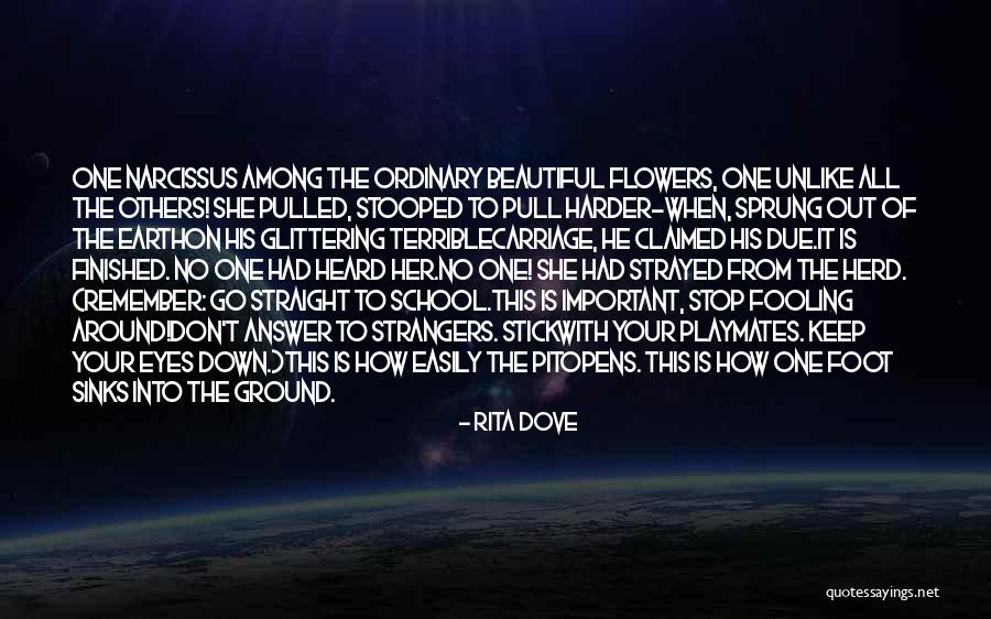 Persefone Falling Quotes By Rita Dove Persefone Falling Quotes By Rita Dove