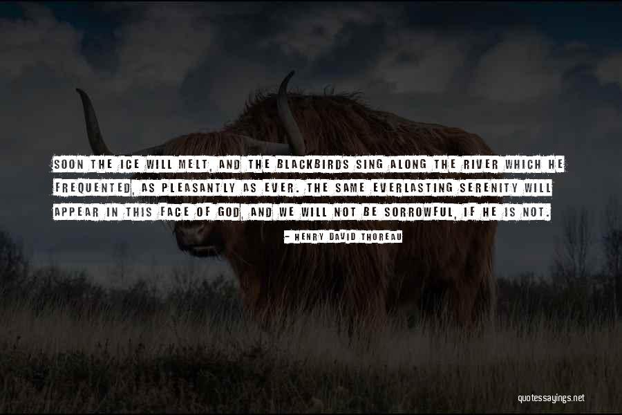 Perseguida Trailer Quotes By Henry David Thoreau Perseguida Trailer Quotes By Henry David Thoreau