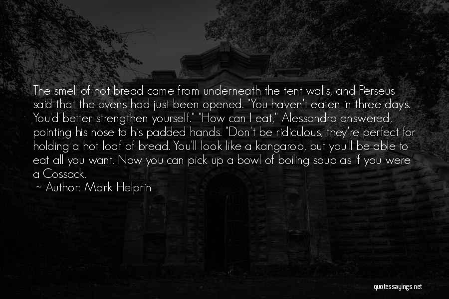 Perseus Quotes By Mark Helprin