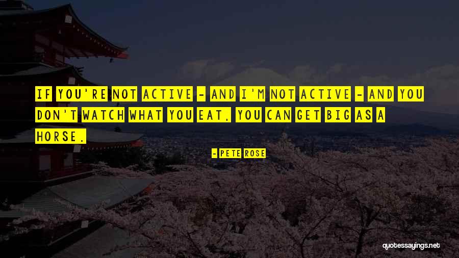 Perseverae Quotes By Pete Rose