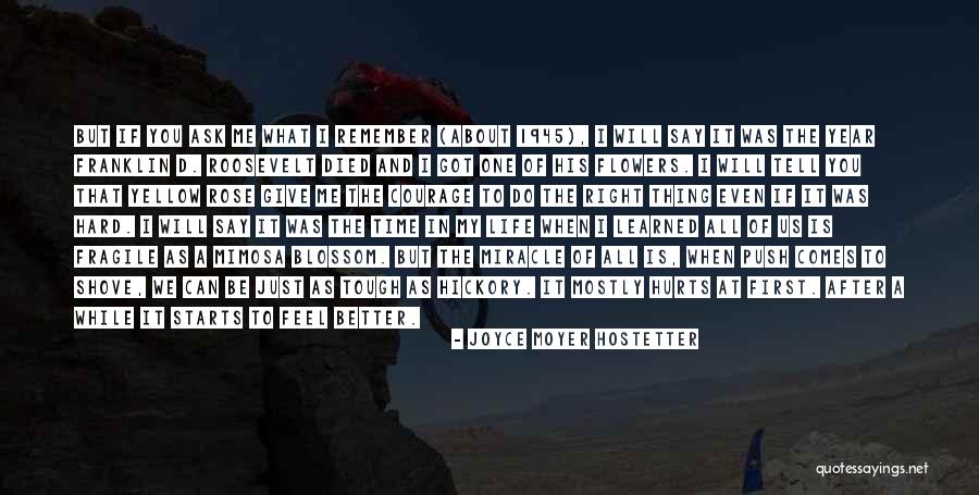 Perseverance And Courage Quotes By Joyce Moyer Hostetter Perseverance And Courage Quotes By Joyce Moyer Hostetter