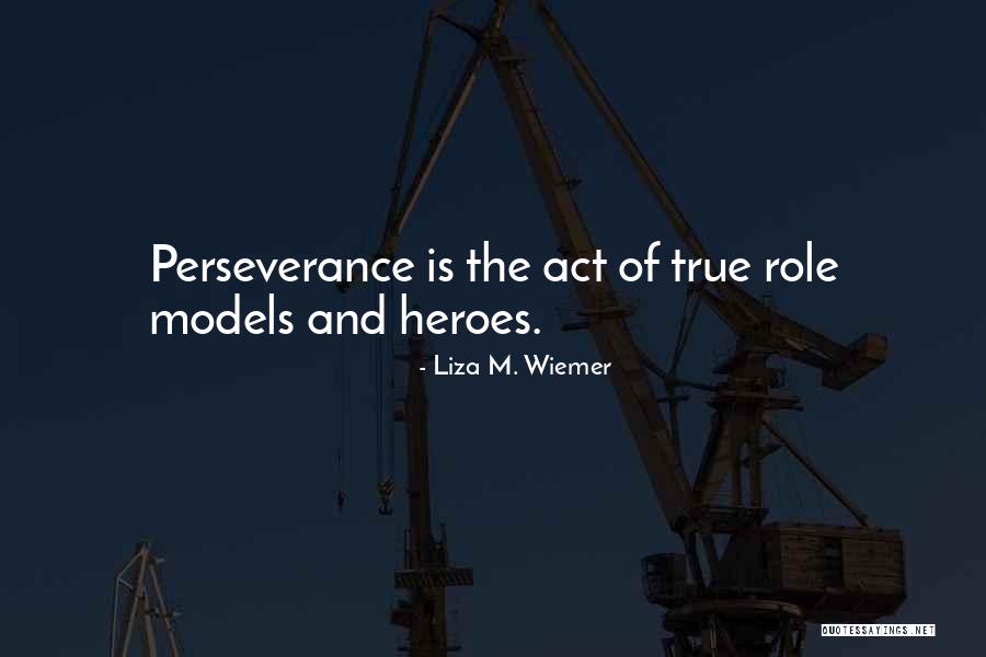 Perseverance And Determination Quotes By Liza M. Wiemer