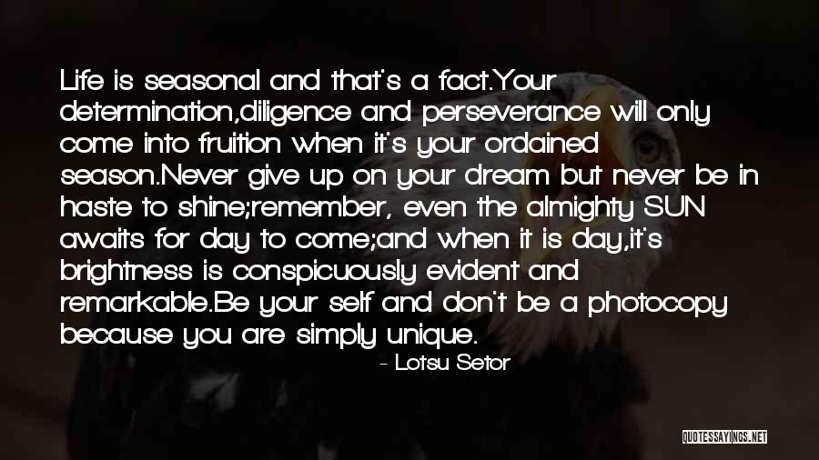 Perseverance And Determination Quotes By Lotsu Setor