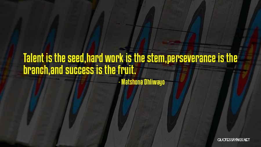 Perseverance And Hard Work Quotes By Matshona Dhliwayo Perseverance And Hard Work Quotes By Matshona Dhliwayo