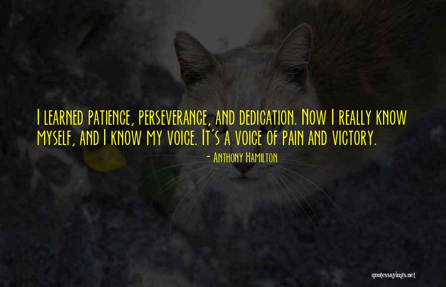 Perseverance And Patience Quotes By Anthony Hamilton Perseverance And Patience Quotes By Anthony Hamilton