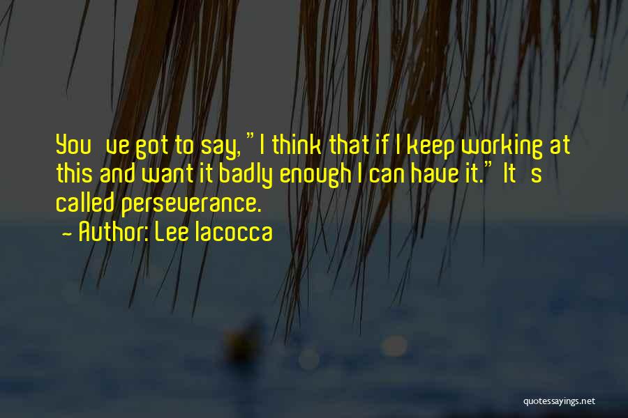 Perseverance And Persistence Quotes By Lee Iacocca