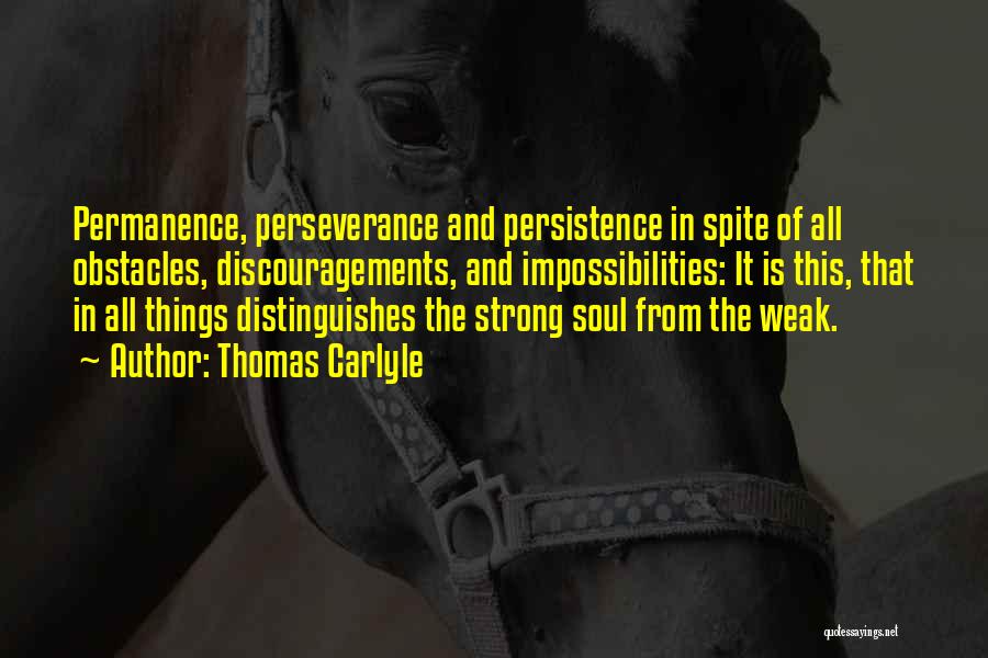 Perseverance And Persistence Quotes By Thomas Carlyle