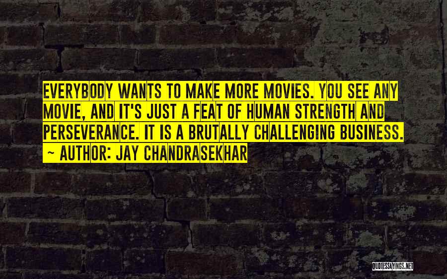 Perseverance And Strength Quotes By Jay Chandrasekhar