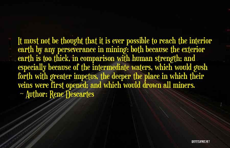 Perseverance And Strength Quotes By Rene Descartes