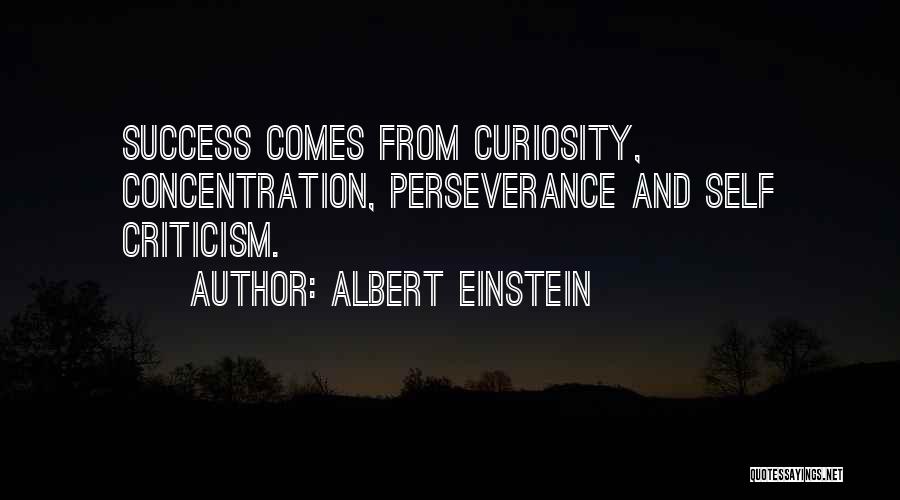 Perseverance And Success Quotes By Albert Einstein