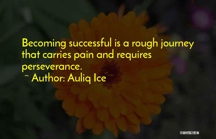 Perseverance And Success Quotes By Auliq Ice